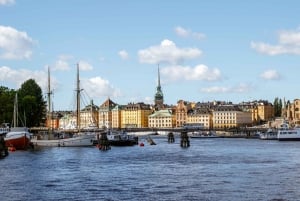 Stockholm Archipelago Cruise with Guide