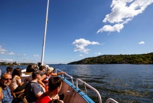 Stockholm Archipelago Cruise with Guide