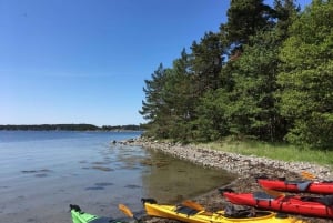 Stockholm: Archipelago Eco-Friendly Guided Kayaking Tour