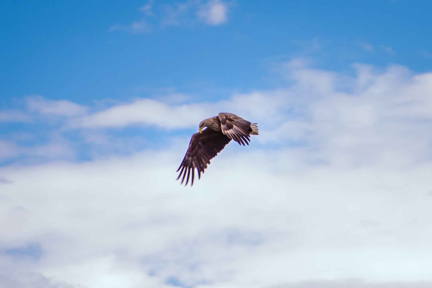ストックホルム：群島家族向けプライベート カヤック ツアー