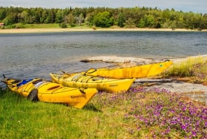 Stockholm : Visite privée en kayak de l'Archipel, adaptée aux familles