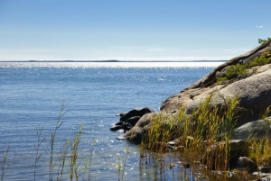 Begeleide cruise door de archipel van Stockholm met Zweedse fika