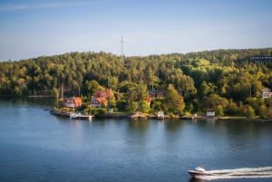 Begeleide cruise door de archipel van Stockholm met Zweedse fika