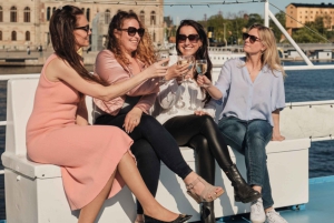 Begeleide cruise door de archipel van Stockholm met Zweedse fika