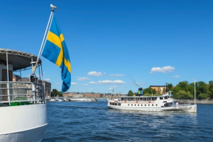 Begeleide cruise door de archipel van Stockholm met Zweedse fika