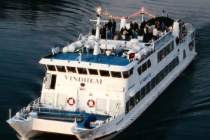 Begeleide cruise door de archipel van Stockholm met Zweedse fika