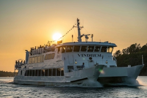 Begeleide cruise door de archipel van Stockholm met Zweedse fika