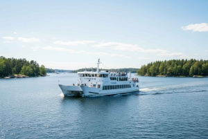 Begeleide cruise door de archipel van Stockholm met Zweedse fika