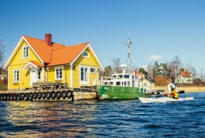 Estocolmo: Passeio de caiaque pelas ilhas do arquipélago e piquenique ao ar livre