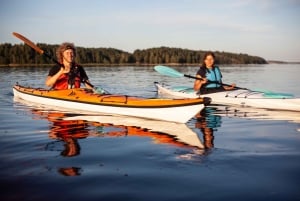 Stoccolma: Tour in kayak delle isole dell'arcipelago e picnic all'aperto