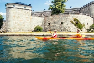 Estocolmo: Excursión en Kayak por las Islas del Archipiélago y Picnic al Aire Libre