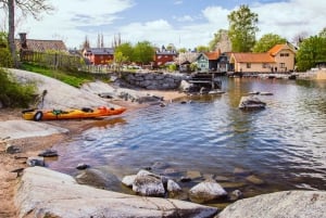 Estocolmo: Excursión en Kayak por las Islas del Archipiélago y Picnic al Aire Libre