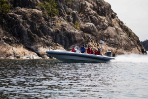 Stockholm Archipelago RIB Speed Boat Tour with Swedish Fika