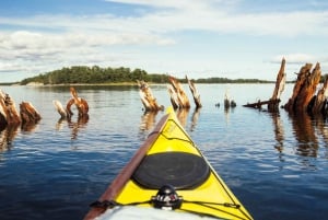Stoccolma: tour autoguidato in campeggio e kayak dell'arcipelago