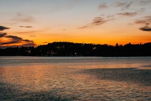 Stoccolma: crociera nell'arcipelago con gamberi