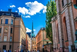 Stoccolma: Tour guidato a piedi di arte e cultura con un abitante del luogo