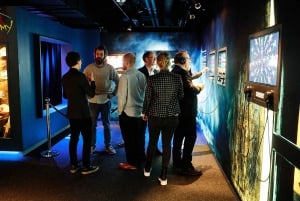 Stockholm: Avicii Experience voorrangsticket voorrangstoegang
