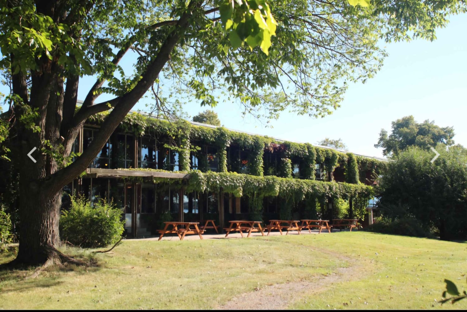 Стокгольм: прогулка на лодке к фреске Эксе Эриксона и пиццерия