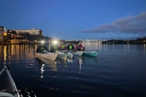 Stockholm bij nacht: winterkajaktocht met gids en droogpak