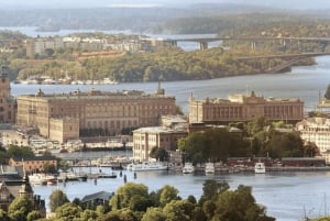 Tukholma: Saaristo ja kanavat opastetulla venekierroksella
