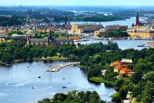 Tukholma: Saaristo ja kanavat opastetulla venekierroksella