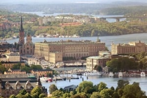 Stockholm : visite guidée en bateau du musée Vasa et des canaux