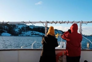 Stockholm : visite guidée en bateau du musée Vasa et des canaux