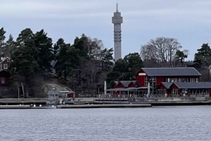 Stockholm : visite guidée en bateau du musée Vasa et des canaux