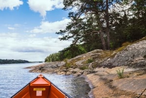 Stockholm: Canoe Adventure in Bogesund Nature Reserve