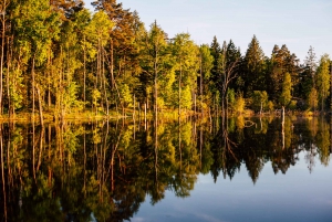 Stockholm: Canoe Adventure in Bogesund Nature Reserve