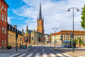 Stockholm Cathedral, Churches, Old Town Private Walking Tour
