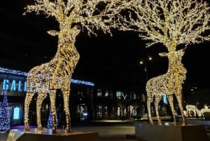 Stockholm : Visite à pied des lumières de Noël et du marché