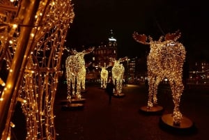 Stockholm: Julebelysning og markedsvandring