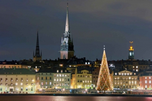 Estocolmo: passeio a pé privado de Natal