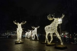 Stockholm: kersttradities en proeverijen kleine groepsreis