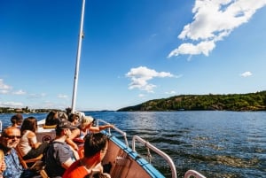 Estocolmo: Crucero turístico por el Archipiélago con guía