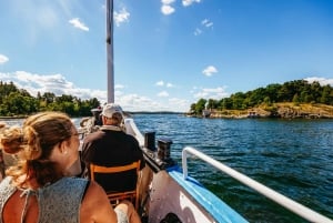 Stoccolma: Crociera turistica dell'arcipelago della città con guida