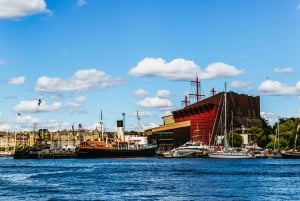 Stockholm : Croisière touristique dans l'archipel de la ville avec guide