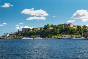 Stockholm: City Canal Guided Boat Tour