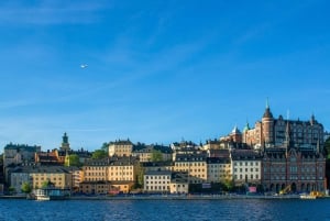 Stockholm: City Highlights Guided Walking Tour with a Local