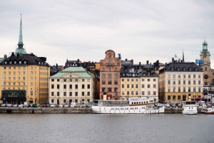 Stockholm: Express Walk med en lokal innbygger på 60 minutter