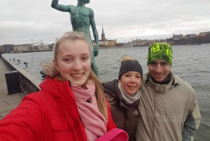 Estocolmo: passeio a pé privado personalizado com um guia local