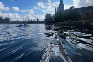 Estocolmo: Passeio de caiaque durante o dia na cidade de Estocolmo