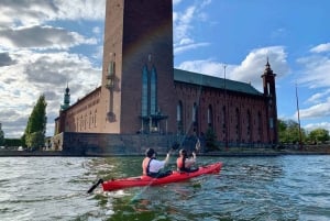 Stoccolma: Tour diurno in kayak nella città di Stoccolma