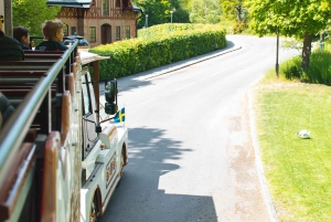 Stockholm & Djurgården Hop-on Hop-off Sightseeing Train Pass