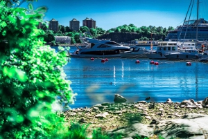 Stockholm: Djurgården Segway Tour