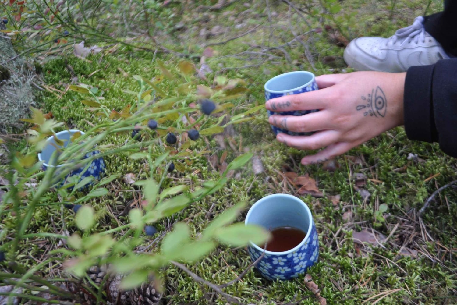 Стокгольм: прогулка с собакой по заповеднику и шведская фика