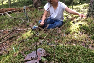 Стокгольм: прогулка с собакой по заповеднику и шведская фика