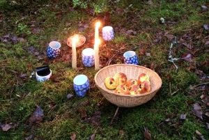 Стокгольм: прогулка с собакой по заповеднику и шведская фика