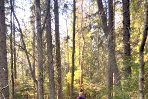 Стокгольм: прогулка с собакой по заповеднику и шведская фика